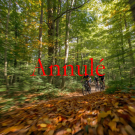 annulation