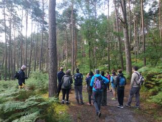 Photo d'une grande marche de 37 km "Par monts et par bois", sur la trace de Théodore Rousseau et Théophile Thoré (15 juin 2024)
