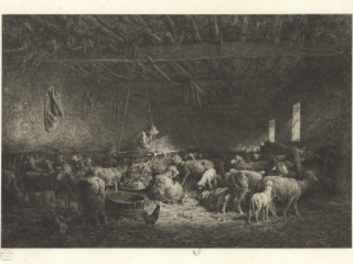 Agrandir l’image